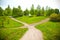 Fork in the road in the park and dandelions