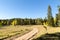 Forked dirt road dead end sign