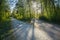 Forked road and green trees and sun light