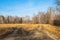 Forking country road through fields and forest at sunset.Late fall.Warm evening sunlight.Leisure, tourism and adventure