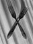 Forks on a gray background shape and shadows