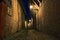 Forli, Emilia Romagna, Italy: dark alley in the old town