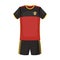 Form of the Belgian football team.The dark Belgian wolf. Belgium single icon in cartoon style rater,bitmap symbol stock