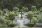 Formal English Garden with Fountain and Lavender Beds.