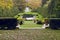 Formal Garden Terraces and Pool