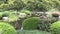 A formal Japanese garden in Australia, at Brisbane`s Mount Coo-tha Botanic gardens.
