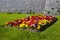 A formal mixed herbaceous border of Polyanthus plants