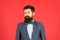 Formal outfit. Confident posture. Businessman or host fashionable outfit red background. Man bearded hipster wear