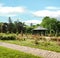 Formal rose garden