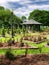 Formal rose garden