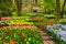 Formal spring garden