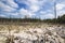 Formation of bogs mesotrophic In the climatic zone taiga, forest-tundra of the Arkhangelsk region