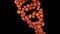 Formation of DNA. DNA strands are assembled from red apples. 4K