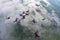 Formation skydiving above white clouds.