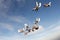 Formation skydiving in the blue sky.