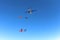 Formation skydiving. A group of skydivers is in the winter season.