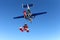 Formation skydiving. A group of skydivers is in the winter season.