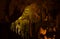 Formation of stalagmites and stalactites in the caves