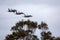 Formation of three Royal Australian Air Force RAAF McDonnell Douglas F/A-18 hornet multirole fighter aircraft