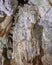 Formations of stalactites and stalagmites in underground cave