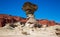 Formations of stones in Ischigualasto Park