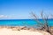 Formentera Escalo beach with dried branches