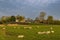 Former island of Schokland, UNESCO World Heritage Site, Netherlands