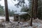 Former military bunker hidden in a forest. Orlicke hory, Czech republic