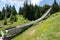 Former olympic big ski jump, Mount Igman, Sarajevo, Bosnia and Herzegovina