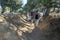 A former World War One trench at Gallipoli in Turkey.