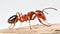 Formica, rufa, Red, wood ant. Red wood ant Formica rufa or southern wood ant, isolated generative ai