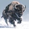 A formidable bison showcases its ninja skills