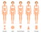 Forms of female body type. Various figures of women. Vector