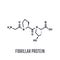 Formula of chemical structure. Collagen is a fibrillar protein that forms the basis of the connective tissue of the