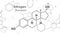 Formula of hormone estrogen.