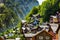 Forrest Landscape Hallstadt Austria Village Cottage