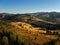 Forrest landscape at sunset captured with a drone