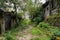 Forsaken 1960s` brick buildings in weeds