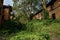 Forsaken 1960s` red brick dwelling buildings in weeds