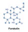 Forskolin is a labdane diterpene
