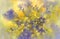 Forsythia and Iris flowers in yellow watercolor background