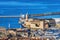 Fort Cityscape Harbors Sailboats Buildings Marseille France