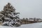 Fort Collins, Colorado - Denver Metro Area Residential Winter Panorama. Snow Fall in the Neighborhood