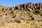 Fort Davis National Historic Site