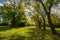 Fort Edmonton Footbridge Park