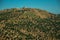 Fort on fortress of hill covered by green olive trees