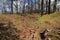 Fort Lyons Earthwork Remnants in Cumberland Gap