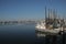 Fort Myers Shrimping Fleet Horizontal