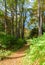 Fort Necessity National Battlefield