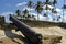 Fort Orange, cannon and palm trees, Brazil